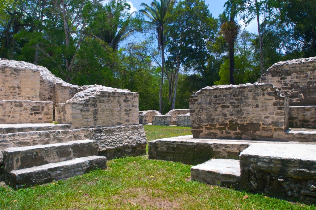Caracol3.jpg
