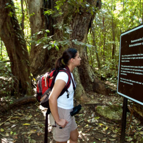 Guanacaste.jpg