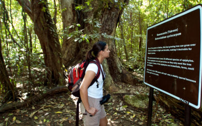 MEDICINAL TRAIL & GUANACASTE PARK