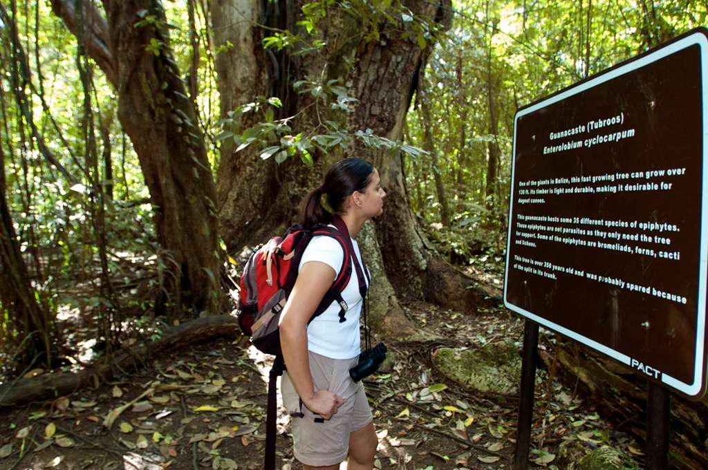 Guanacaste.jpg