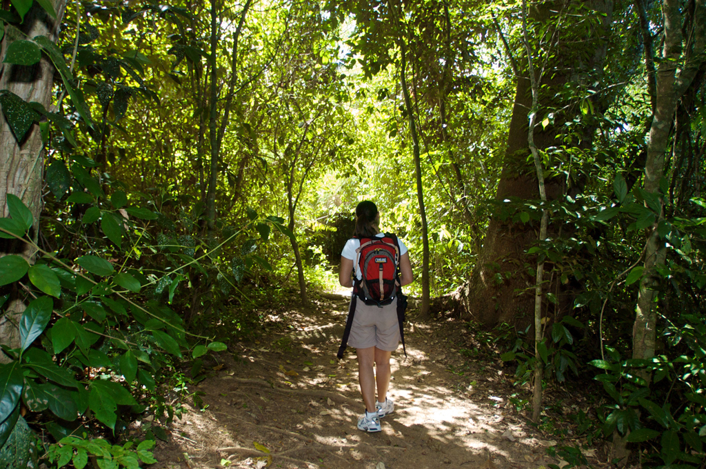 Guanacaste2.jpg