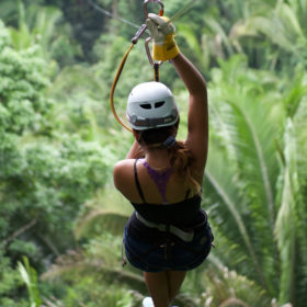 Zipline.jpg